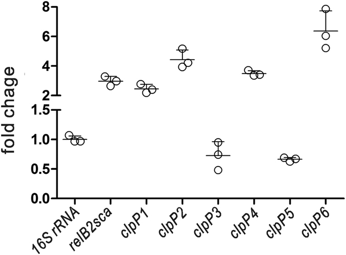 Figure 5