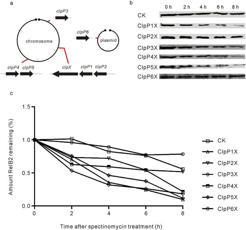 Figure 6