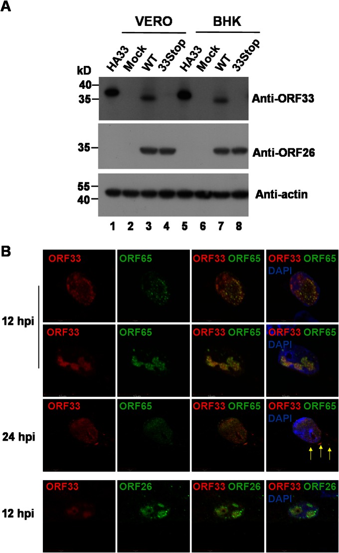 FIG 1