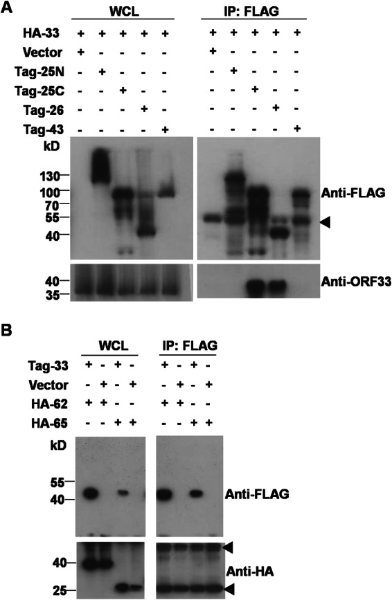 FIG 6