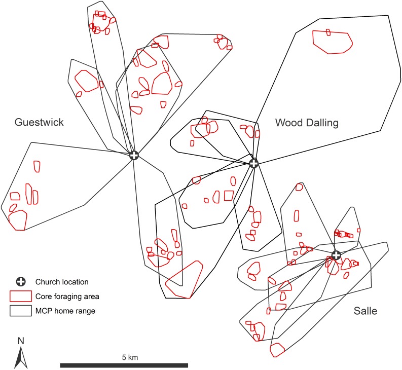 Fig 1