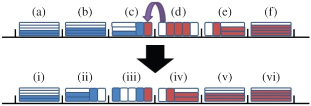 Figure 10.