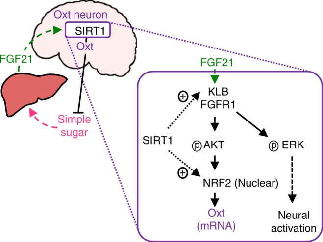 Fig. 10