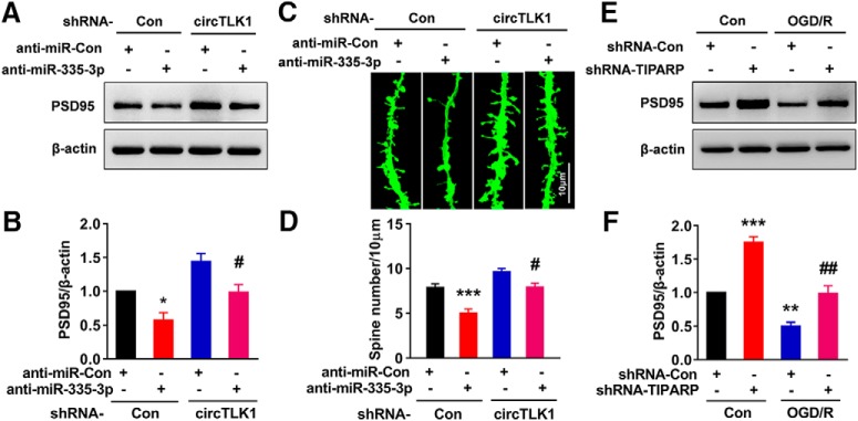 Figure 12.