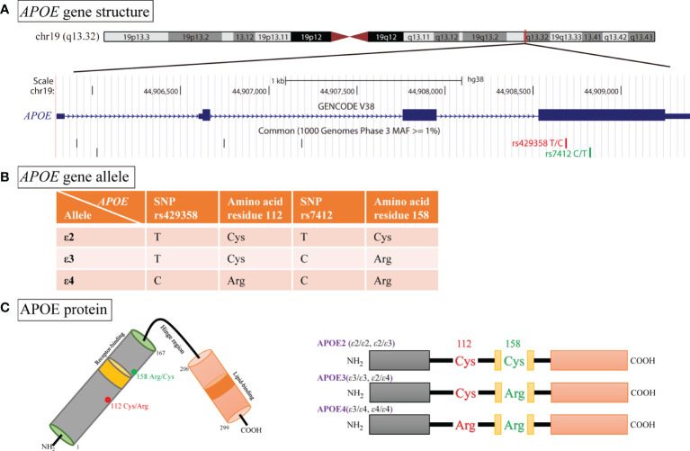 Figure 1