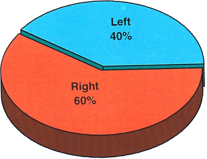 Fig. 10