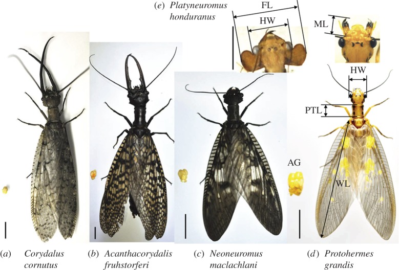 Figure 1.