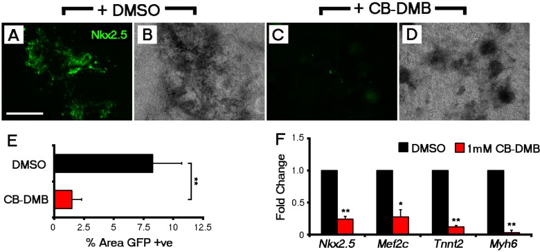 Figure 5—figure supplement 2.