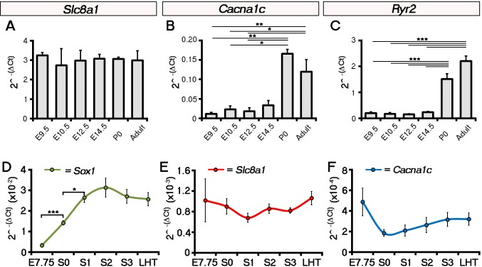 Figure 3—figure supplement 2.