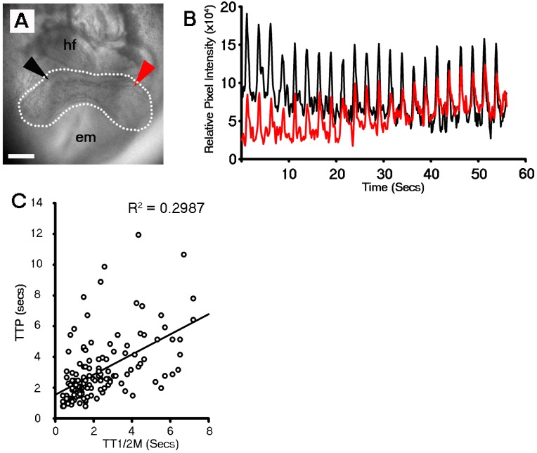 Figure 2—figure supplement 1.