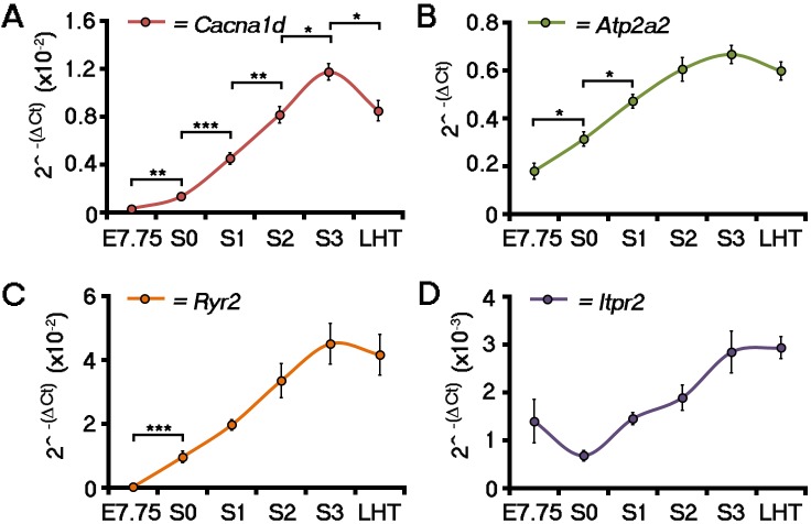 Figure 3—figure supplement 1.