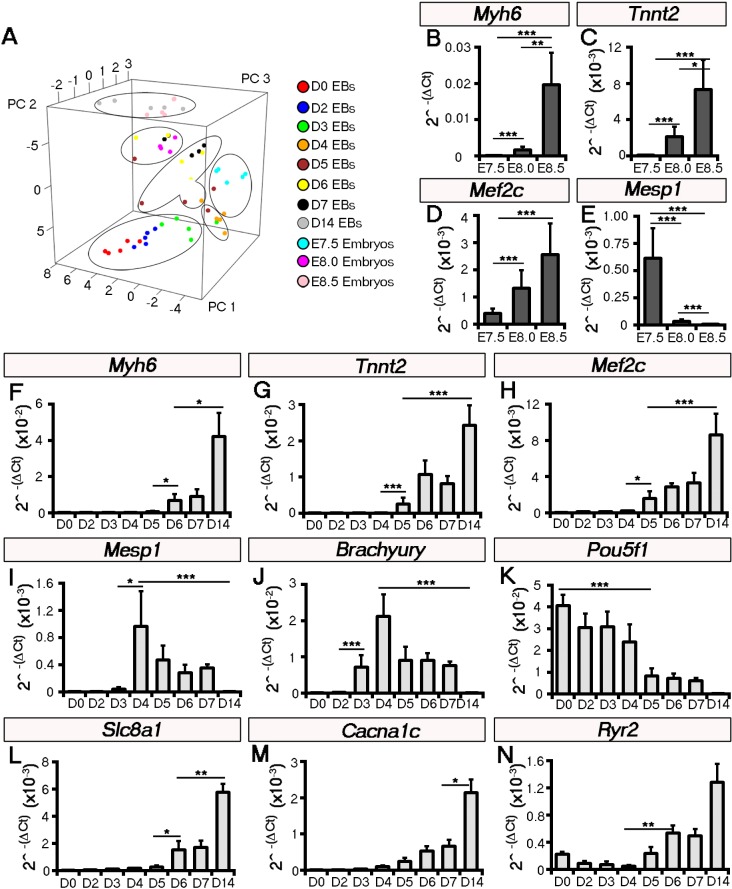 Figure 2—figure supplement 2.