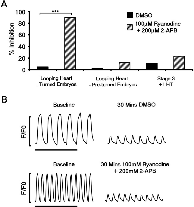 Figure 4—figure supplement 1.