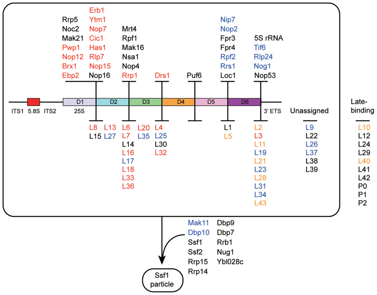 Figure 5.