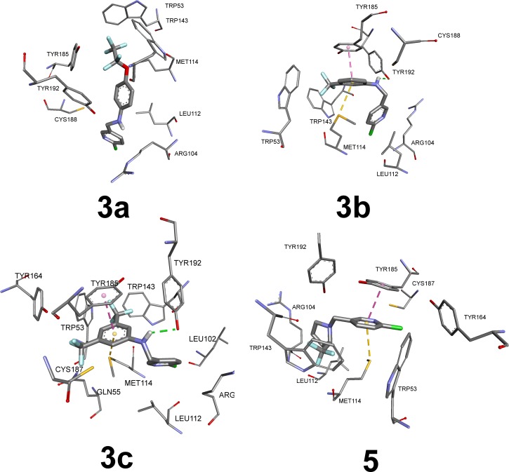 Fig 5