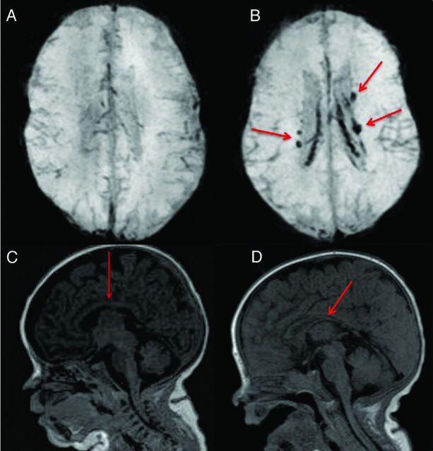 Fig 1.