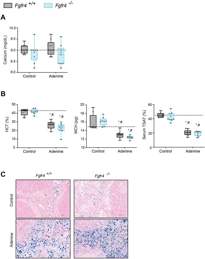 Figure 1—figure supplement 1.