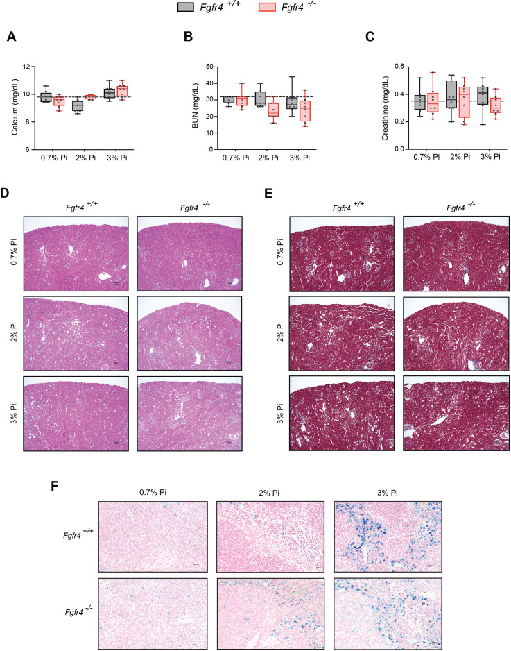 Figure 2—figure supplement 1.