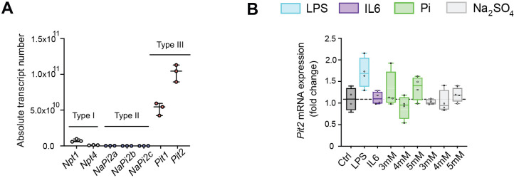 Figure 6—figure supplement 1.