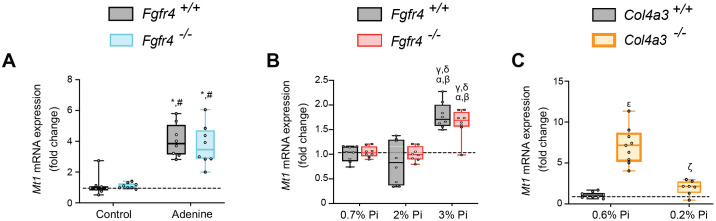 Figure 3—figure supplement 1.