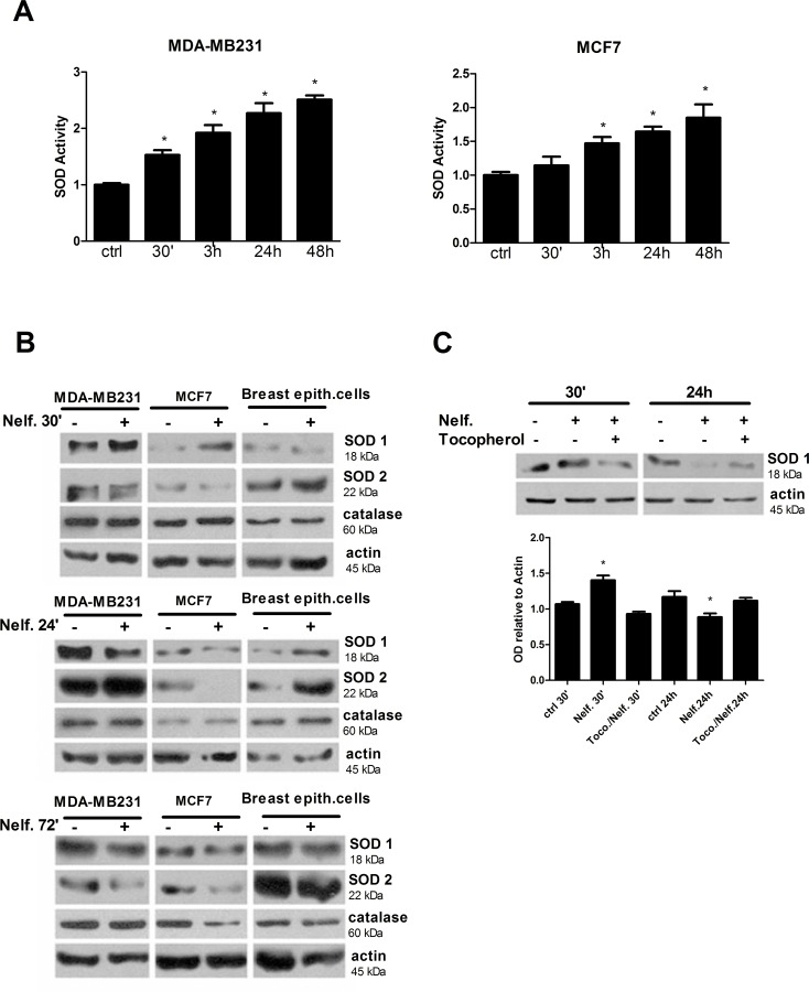 Fig 8