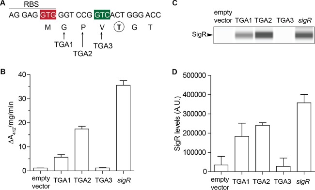 FIG 1 