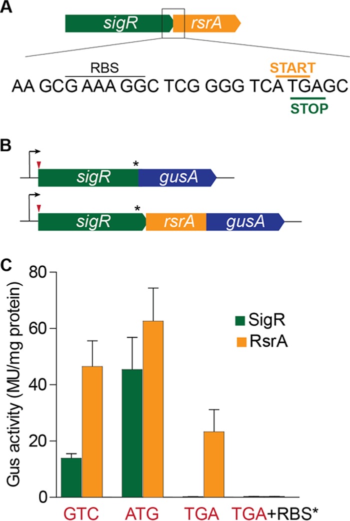 FIG 3 