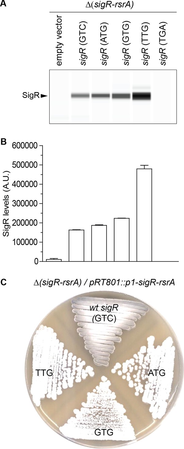 FIG 2 