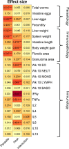 Figure 6: