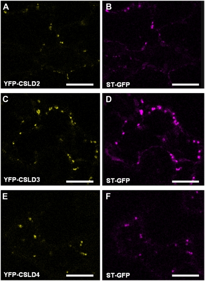 Figure 10.