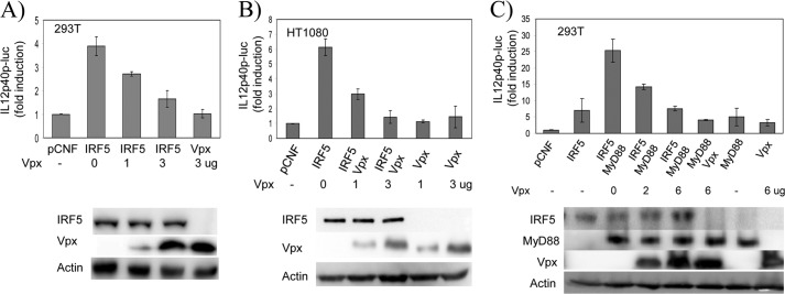 FIGURE 4.