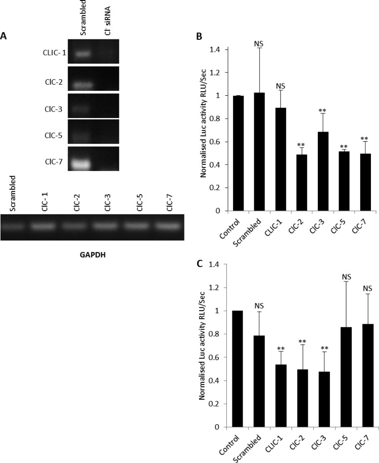 FIG 4