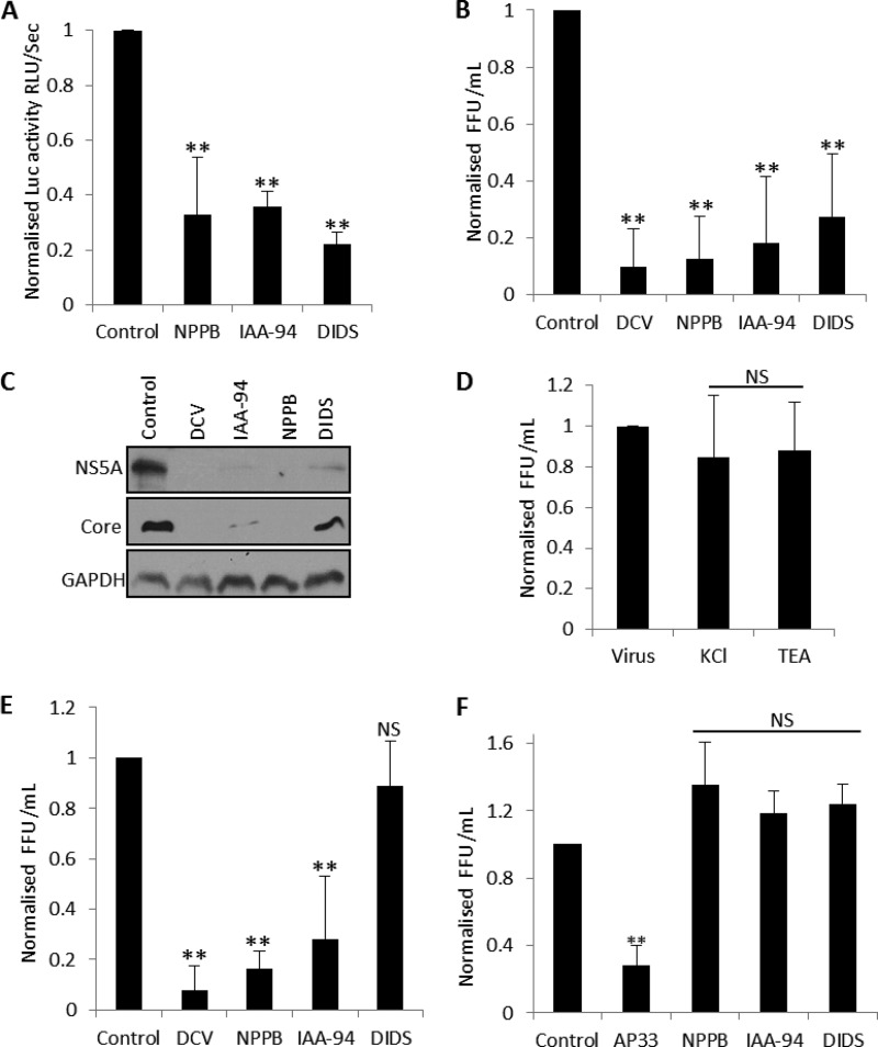 FIG 3