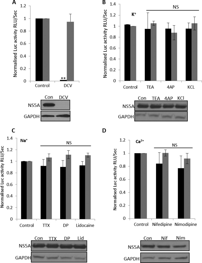 FIG 1