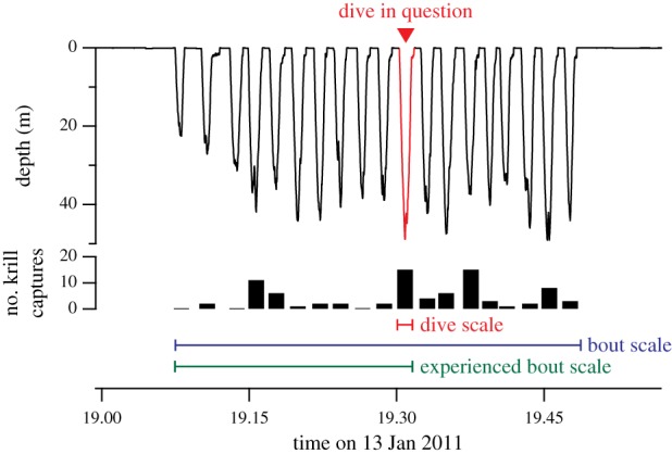 Figure 2.