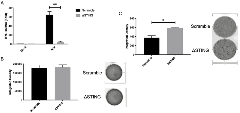 Fig. 7.