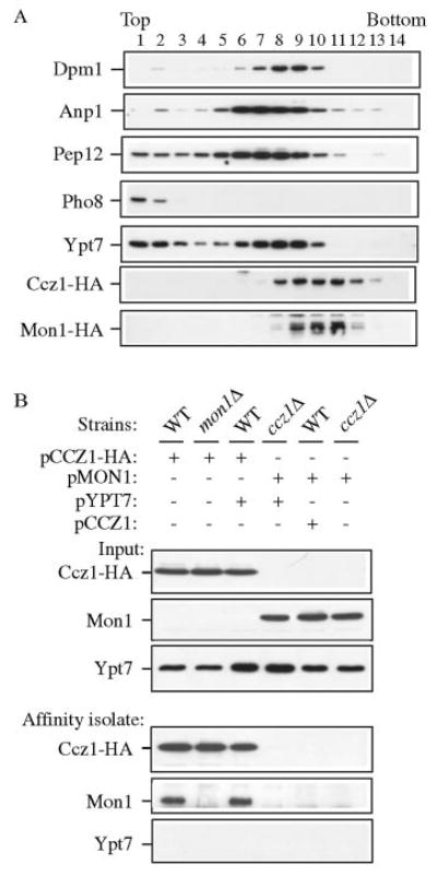 FIG. 7