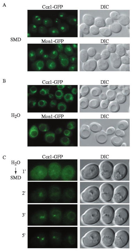 FIG. 5