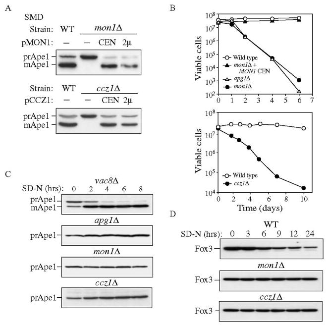 FIG. 1