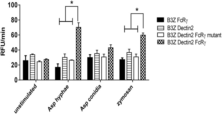 Fig 3