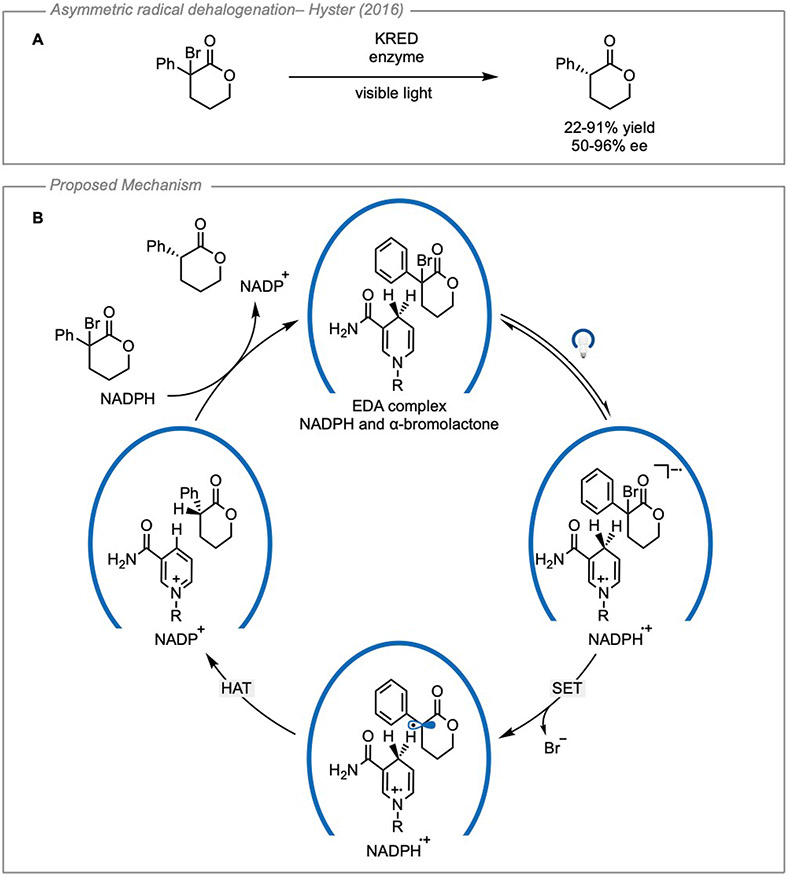 Figure 15.