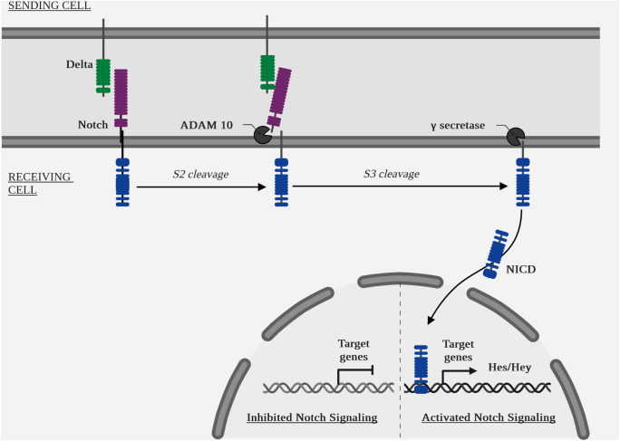 Figure 6