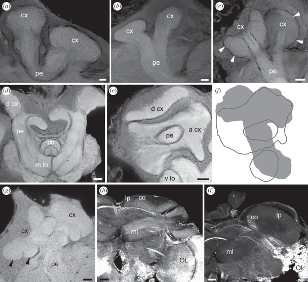 Figure 4.