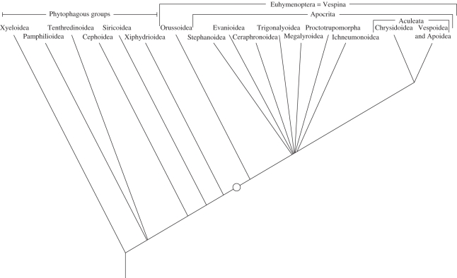 Figure 2.