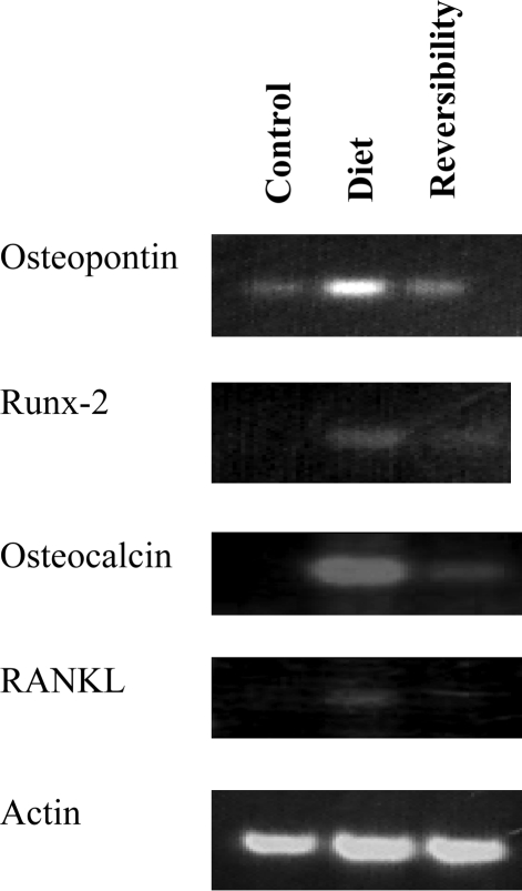 Figure 6