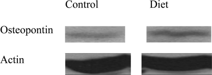 Figure 7