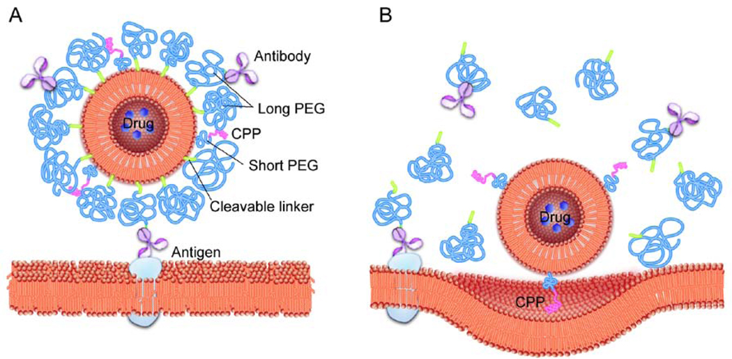 Fig. 10