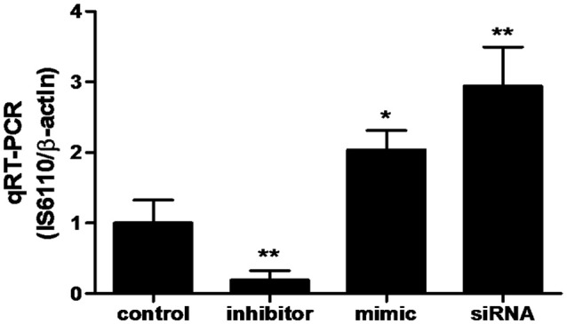 Figure 6