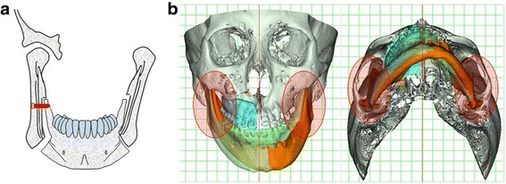 Fig. 19