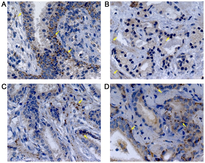 Figure 3.